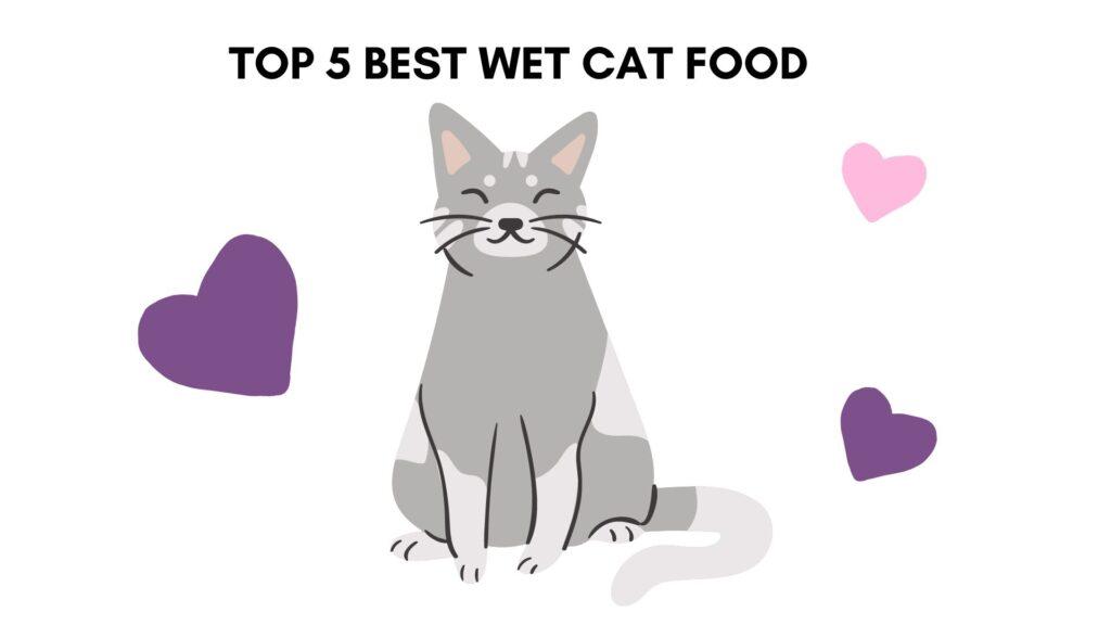 Best Wet Cat Food For Sensitive Stomach,
best wet food for cats with sensitive stomach, best wet food for cats with sensitive stomach