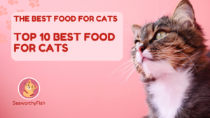 top 10 best food for cats top 10 best wet food for cats top 10 best dry food for cats what natural food is good for cats what are the best human foods for cats what brand of food is best for cats top 10 healthiest cat foods which is best food for cats what are the top 10 best cat foods top 10 best cat food brands what are the top 10 healthiest cat foods top 10 best dry cat food brands top 10 healthy cat food brands favorite cat foods top 5 healthiest cat foods top 10 cat food for indoor cats what is the best cat food recommended by vets what are the top 10 cat foods top 10 best kitten food top 10 kitten food brands 10 best cat food brands top 10 best food cat top 10 best cat foods top 10 best cat food philippines top 10 vet recommended cat food what's good food for cats top 5 best cat food brands what are the top 5 healthiest cat foods what are the top 5 cat foods what are the 10 best wet cat foods best cat food for 9 year old cat